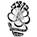 סמל כיס בן-צבי