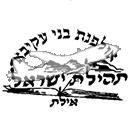 סמל כיס תהילת ישראל