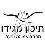 סמל כיס מגידו תיכון